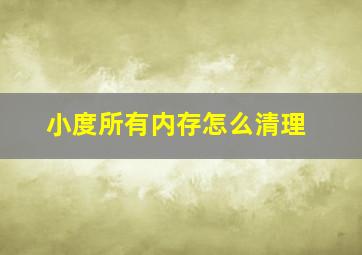 小度所有内存怎么清理