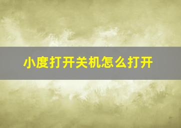 小度打开关机怎么打开