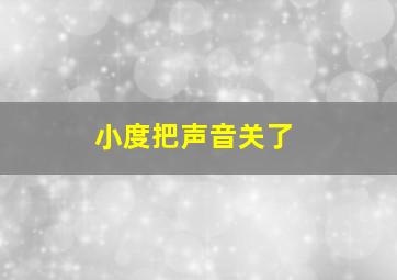 小度把声音关了