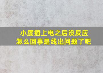 小度插上电之后没反应怎么回事是线出问题了吧