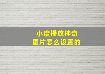 小度播放神奇图片怎么设置的