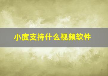 小度支持什么视频软件