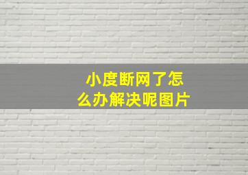 小度断网了怎么办解决呢图片