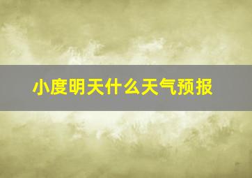 小度明天什么天气预报