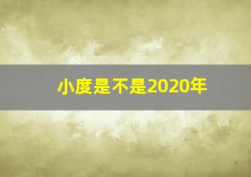 小度是不是2020年