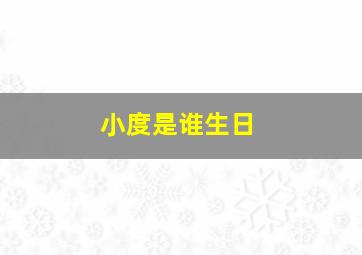 小度是谁生日