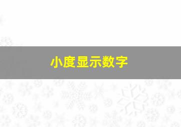 小度显示数字