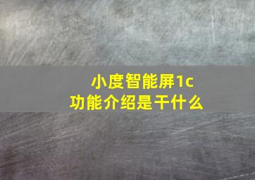 小度智能屏1c功能介绍是干什么