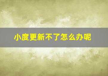 小度更新不了怎么办呢