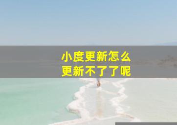 小度更新怎么更新不了了呢