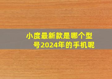 小度最新款是哪个型号2024年的手机呢