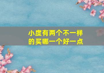 小度有两个不一样的买哪一个好一点