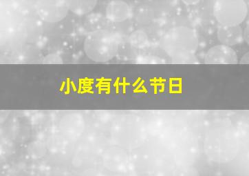 小度有什么节日