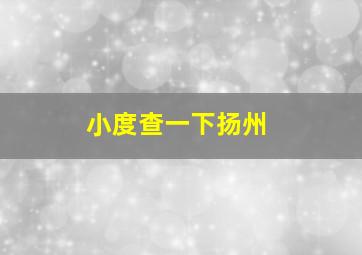 小度查一下扬州