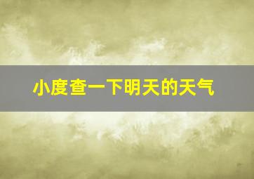 小度查一下明天的天气