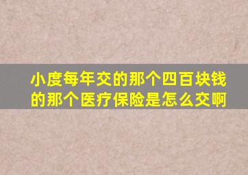 小度每年交的那个四百块钱的那个医疗保险是怎么交啊