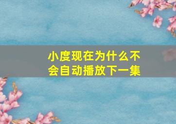 小度现在为什么不会自动播放下一集