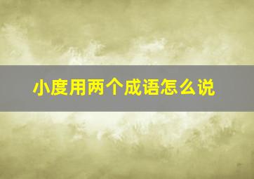 小度用两个成语怎么说