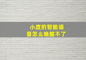 小度的智能语音怎么唤醒不了