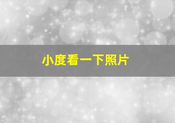 小度看一下照片