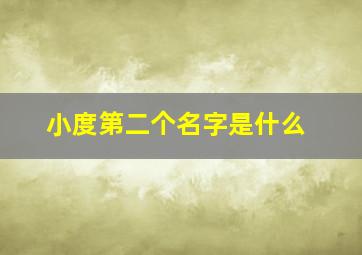 小度第二个名字是什么