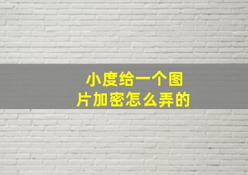 小度给一个图片加密怎么弄的