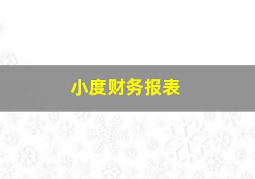 小度财务报表