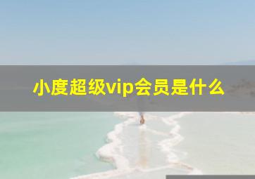 小度超级vip会员是什么