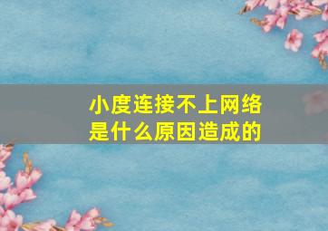 小度连接不上网络是什么原因造成的