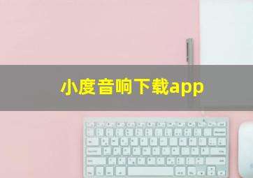 小度音响下载app