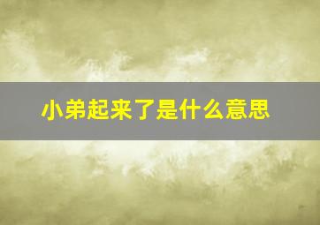 小弟起来了是什么意思