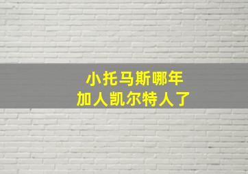 小托马斯哪年加人凯尔特人了