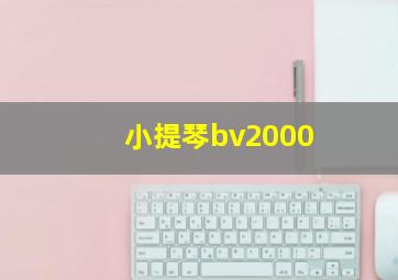 小提琴bv2000