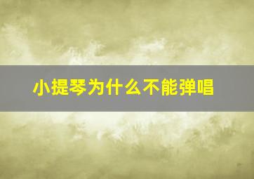 小提琴为什么不能弹唱