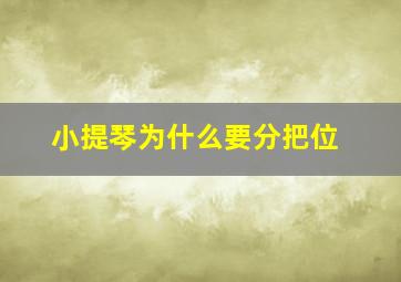 小提琴为什么要分把位