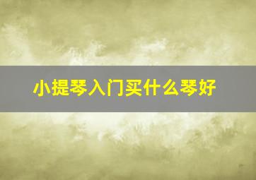 小提琴入门买什么琴好