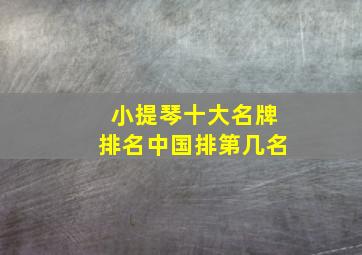 小提琴十大名牌排名中国排第几名