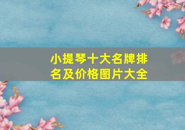 小提琴十大名牌排名及价格图片大全