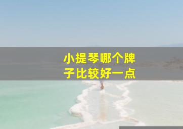 小提琴哪个牌子比较好一点