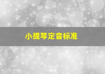 小提琴定音标准