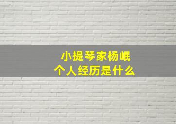 小提琴家杨岷个人经历是什么