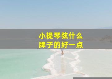 小提琴弦什么牌子的好一点