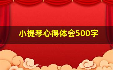 小提琴心得体会500字