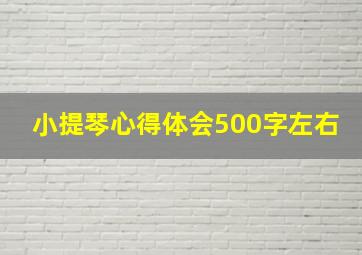 小提琴心得体会500字左右