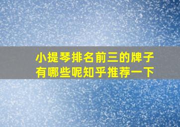 小提琴排名前三的牌子有哪些呢知乎推荐一下