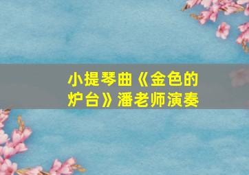 小提琴曲《金色的炉台》潘老师演奏