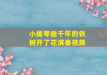 小提琴曲千年的铁树开了花演奏视频