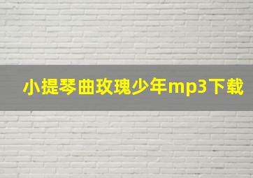 小提琴曲玫瑰少年mp3下载