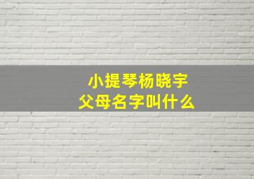 小提琴杨晓宇父母名字叫什么