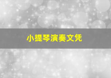 小提琴演奏文凭